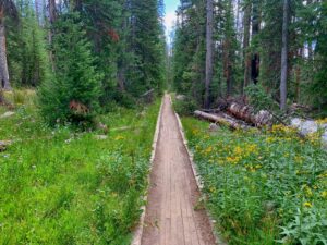 Women's Backpacking Trip to Grandaddy Basin