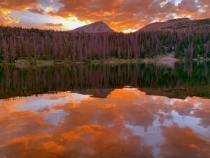 Women's Backpacking Trip to Grandaddy Basin