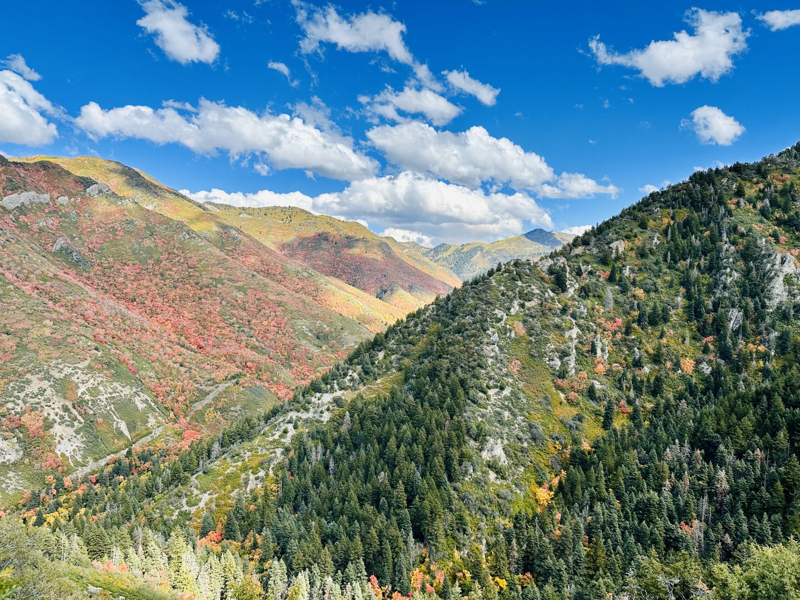 Fall colors in the Wasatch Mountains