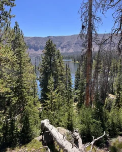 Women's Backpacking Trip to Grandaddy Basin
