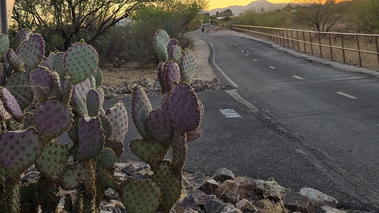Rillito River Path in downtown Tucson