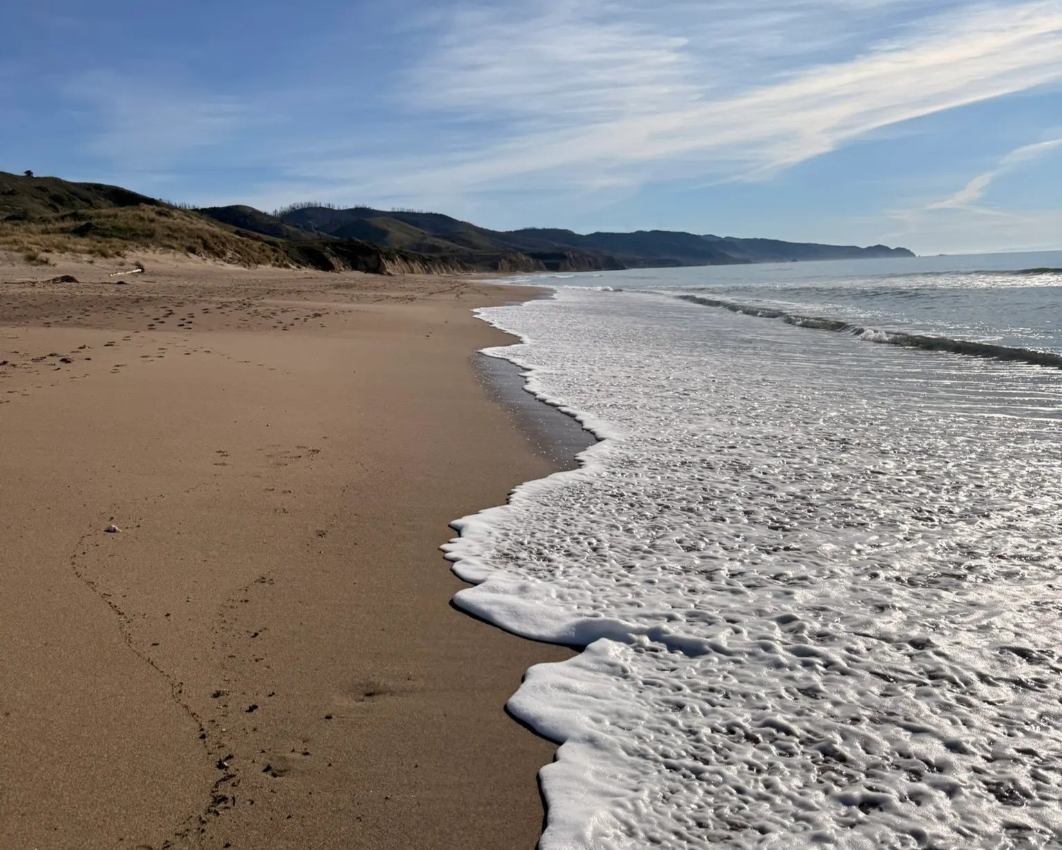 Laguna Trail and Coast Trail Loop at Point Reyes National Seashore