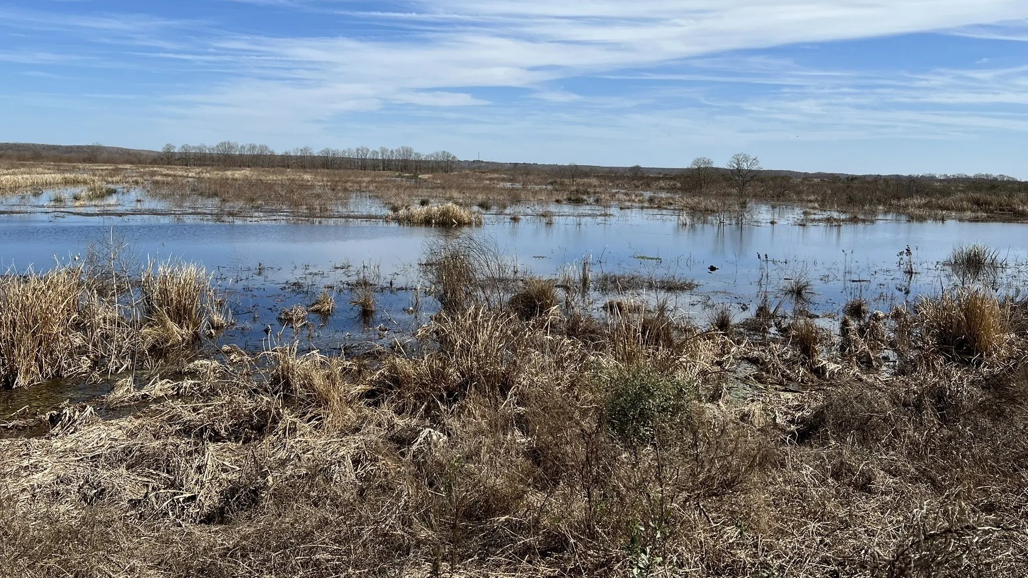 Little Black River Trail at Savannah National Wildlife Refuge