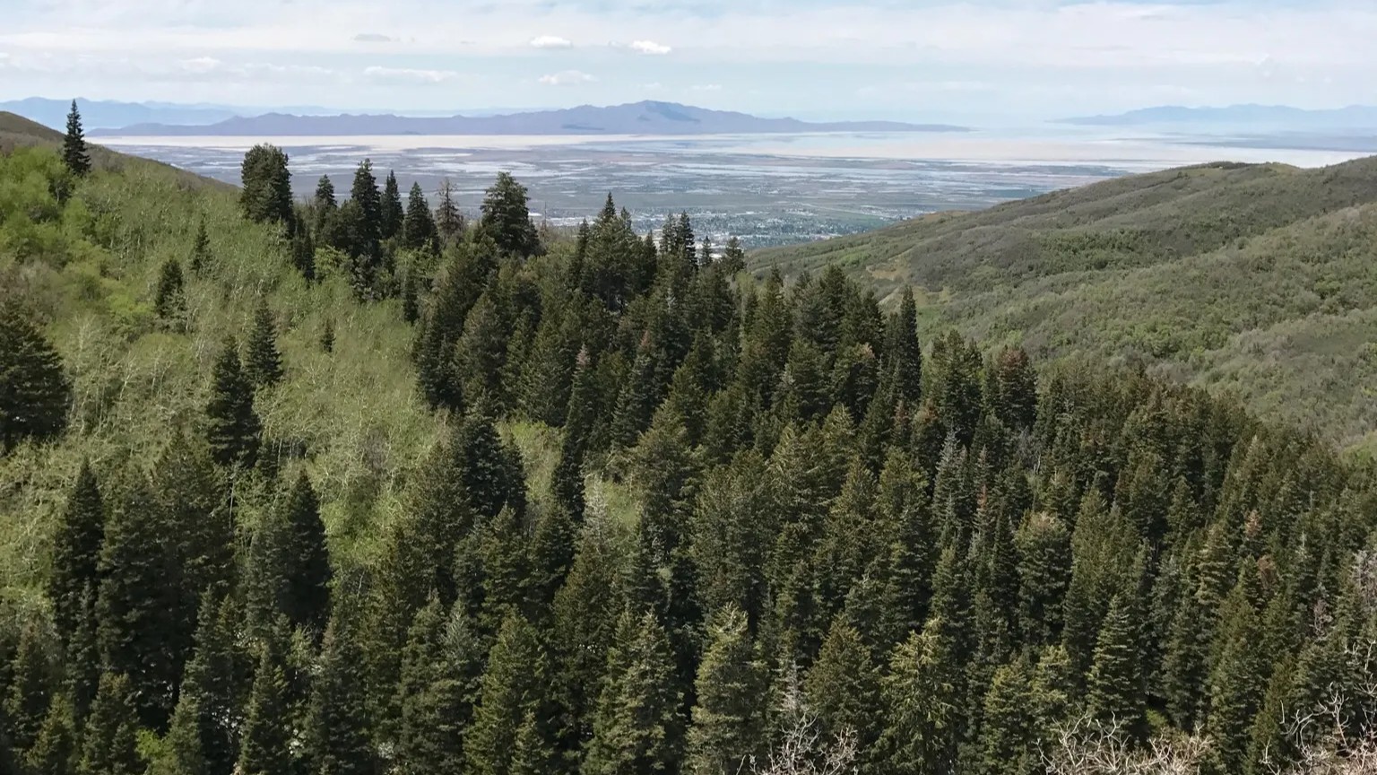 North Canyon hike in Mueller Park near Bountiful, Utah
