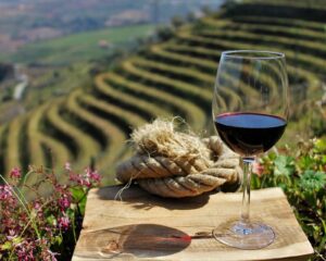 Wine tasting in the Duro Valley with the Women's Wine Hiking Society