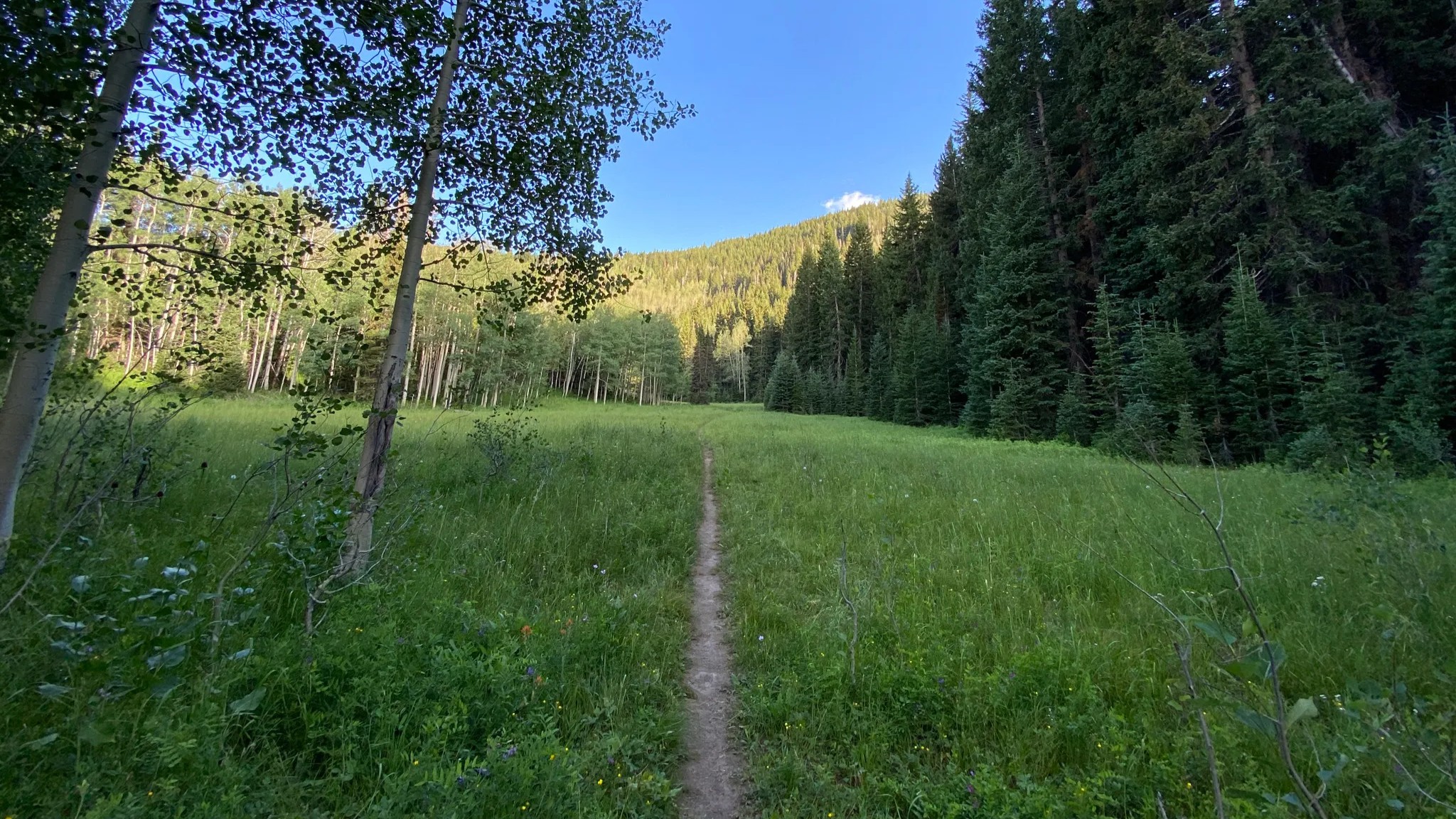 Green Basin Trail in Big Cottonwood Canyon for the Wine Hiking Society's first book club event of 2026